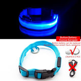 Limited-Time OFFER! SEE ME SAFE! LED Safety Dog Collar - USB or Button Battery Charging versions