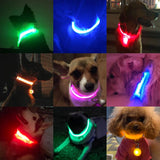 Limited-Time OFFER! SEE ME SAFE! LED Safety Dog Collar - USB or Button Battery Charging versions