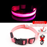 Limited-Time OFFER! SEE ME SAFE! LED Safety Dog Collar - USB or Button Battery Charging versions