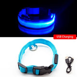 Limited-Time OFFER! SEE ME SAFE! LED Safety Dog Collar - USB or Button Battery Charging versions