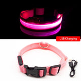 Limited-Time OFFER! SEE ME SAFE! LED Safety Dog Collar - USB or Button Battery Charging versions