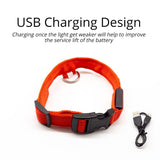 Limited-Time OFFER! SEE ME SAFE! LED Safety Dog Collar - USB or Button Battery Charging versions