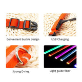 Limited-Time OFFER! SEE ME SAFE! LED Safety Dog Collar - USB or Button Battery Charging versions