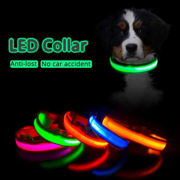 Limited-Time OFFER! SEE ME SAFE! LED Safety Dog Collar - USB or Button Battery Charging versions